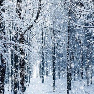 Meet your Posher, Jen